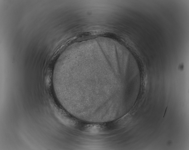 X0000115580074200912081035