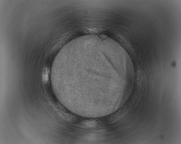 X0000115580075200912081035