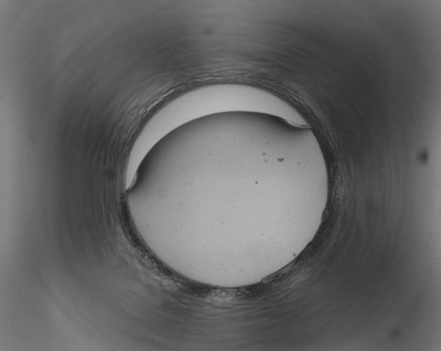 X0000115580076200912081035