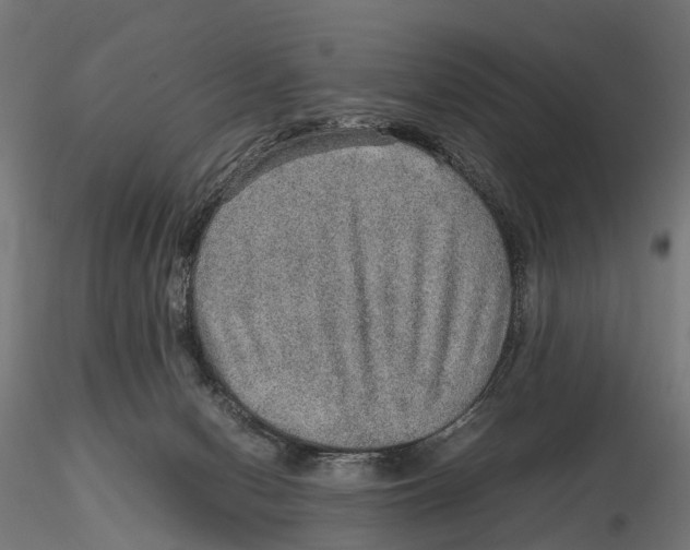 X0000115580078200912081035