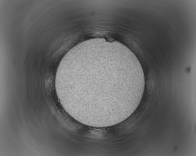 X0000115580079200912081035