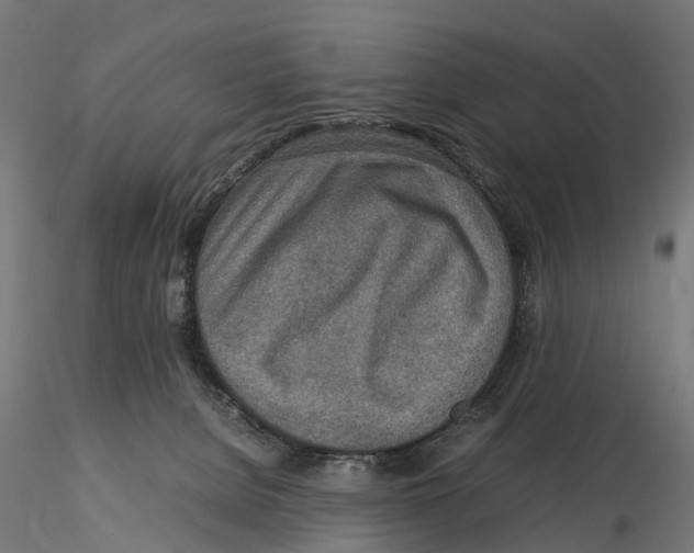 X0000115580080200912081035