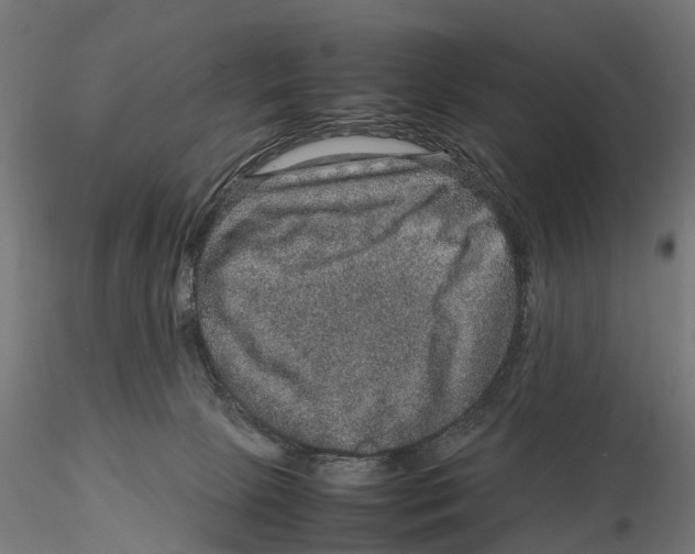 X0000115580081200912081035