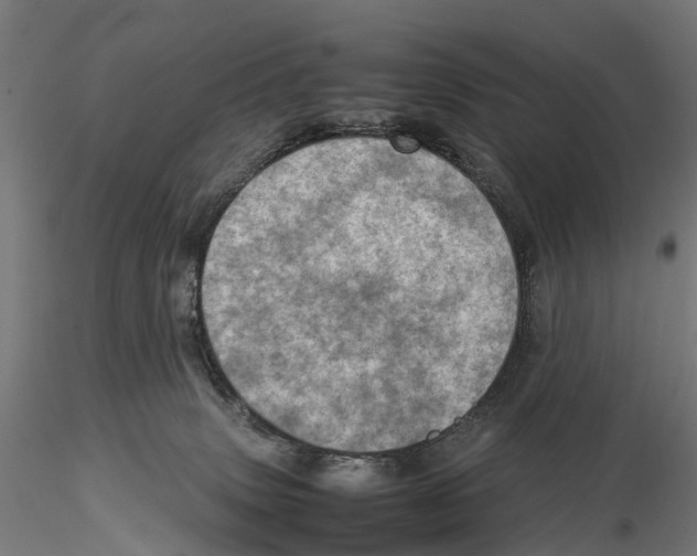 X0000115580083200912081036