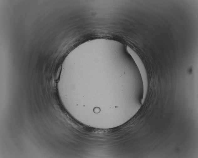 X0000115580084200912081036