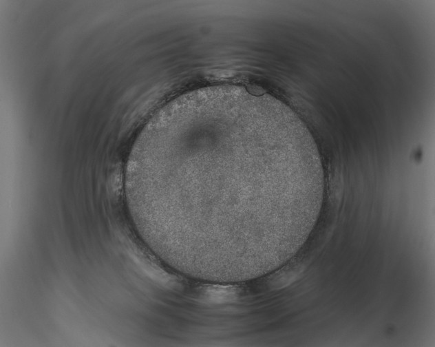 X0000115580085200912081036