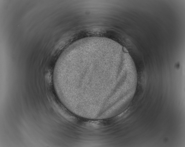 X0000115580086200912081036