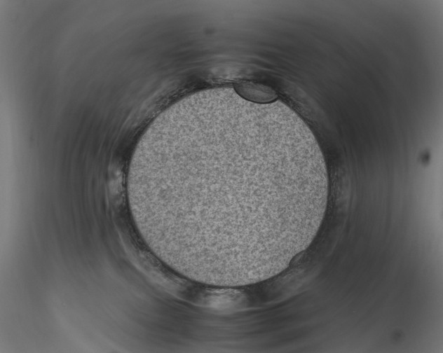 X0000115580087200912081036