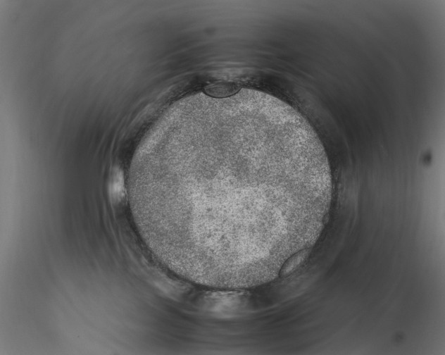 X0000115580089200912081036