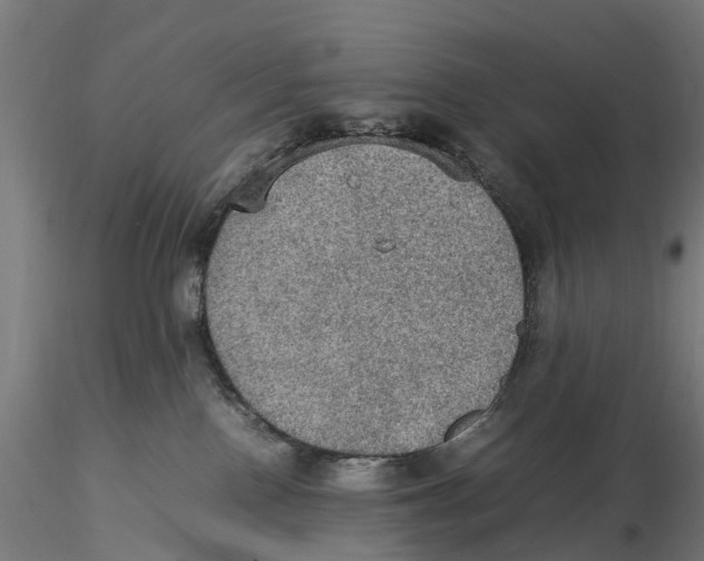 X0000115580090200912081036