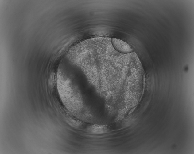 X0000115580093200912081036