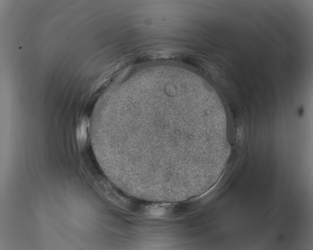 X0000115580094200912081036