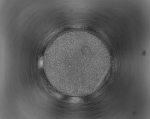 X0000115580095200912081036