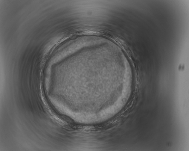 X0000115580097200912081035