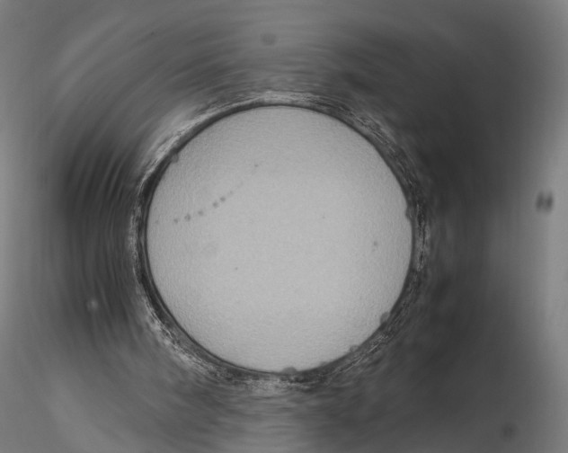 X0000115580098200912081035