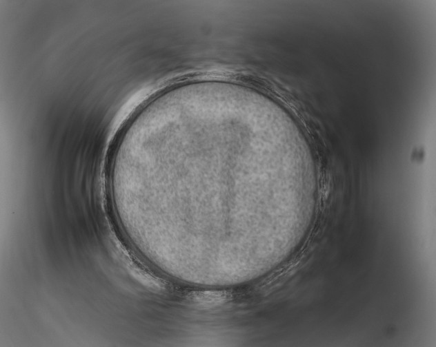 X0000115580102200912081035