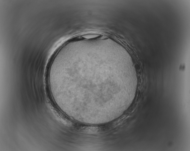 X0000115580104200912081035