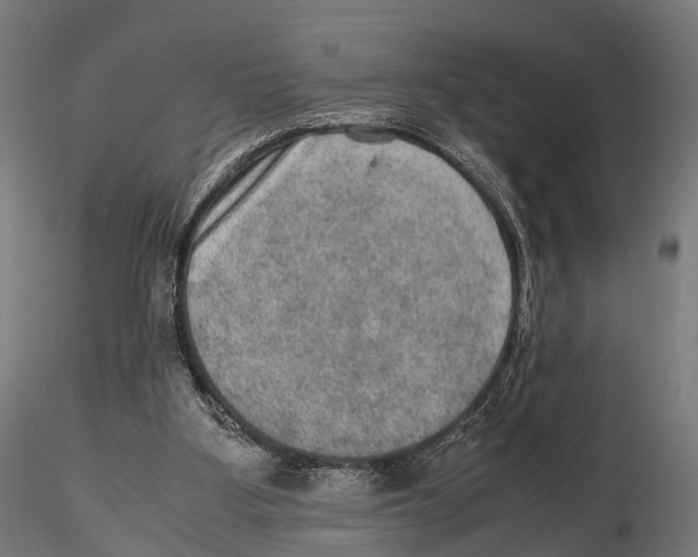 X0000115580107200912081035