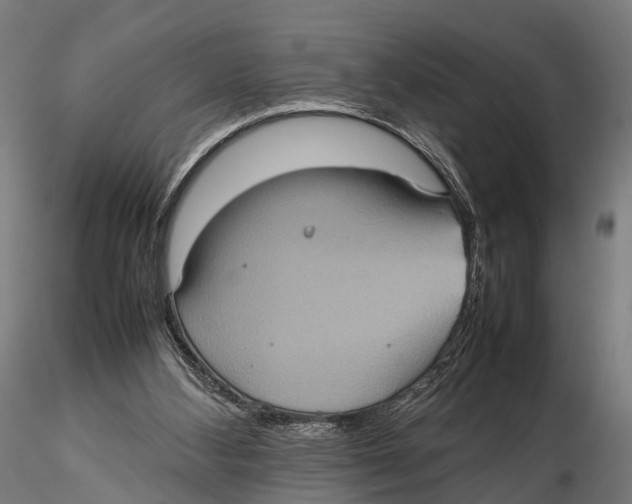 X0000115580108200912081035