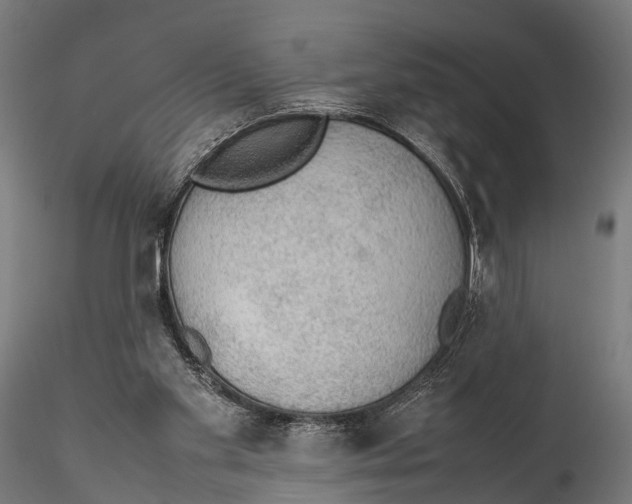 X0000115580109200912081035