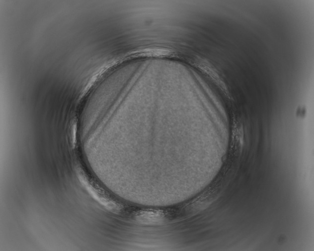 X0000115580110200912081035