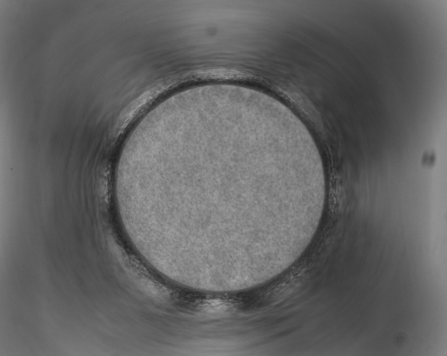 X0000115580111200912081035