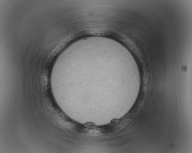 X0000115580113200912081035