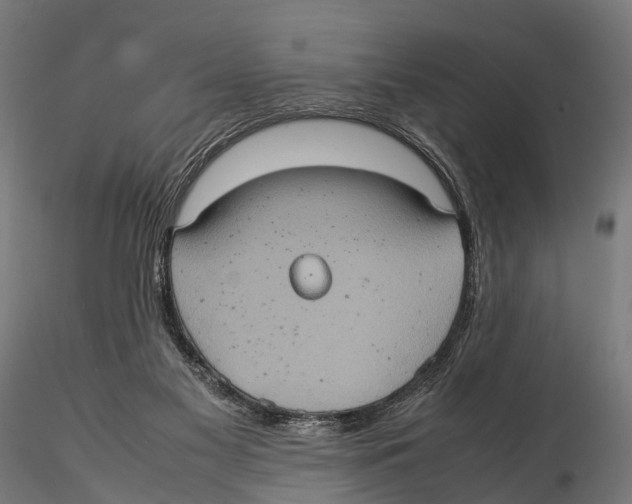 X0000115580117200912081035