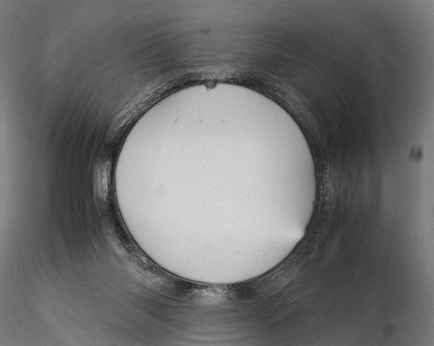 X0000115580118200912081035