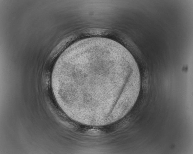 X0000115580119200912081035