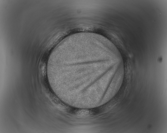 X0000115580123200912081035