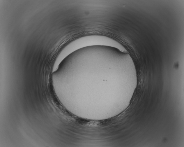 X0000115580124200912081035