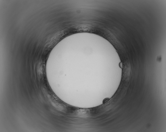 X0000115580126200912081035