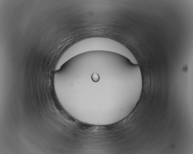 X0000115580128200912081035