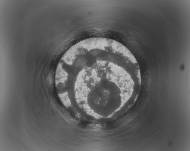 X0000115580131200912081035