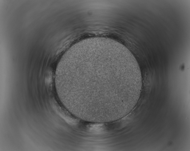 X0000115580132200912081035