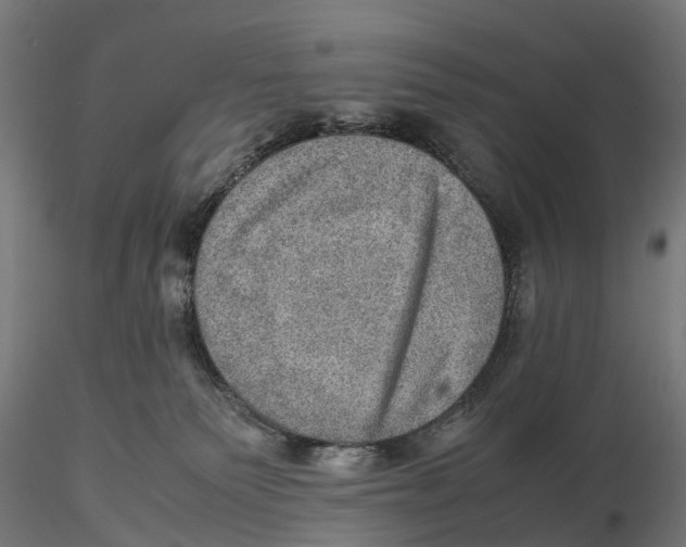 X0000115580135200912081035