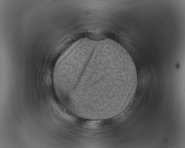 X0000115580136200912081035