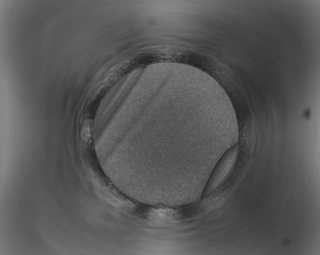 X0000115580137200912081034