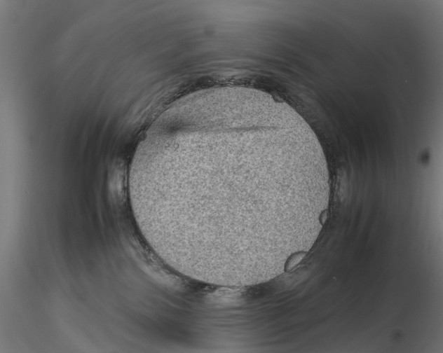 X0000115580138200912081034