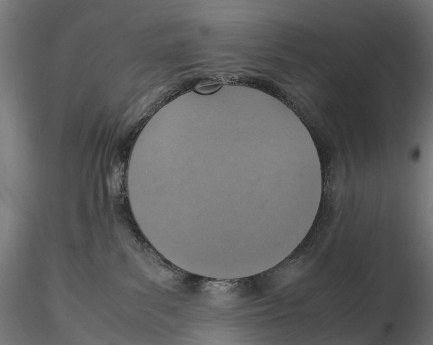 X0000115580139200912081034