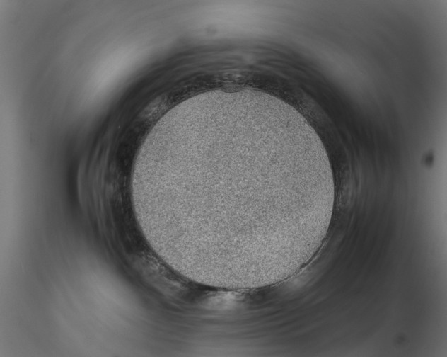 X0000115580140200912081034