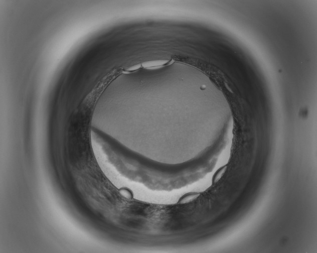 X0000115580143200912081034