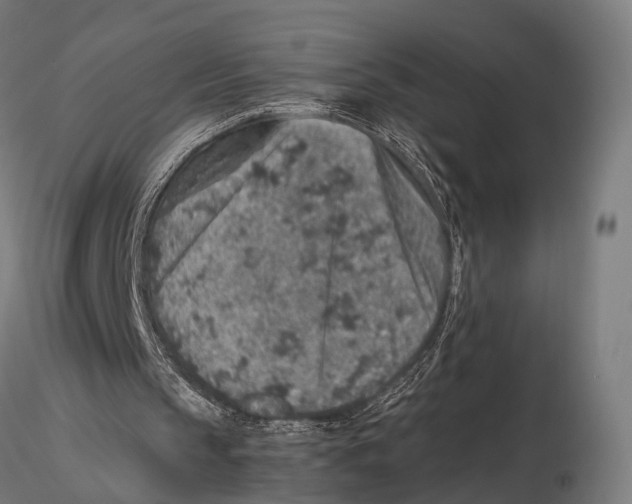 X0000115580145200912081034