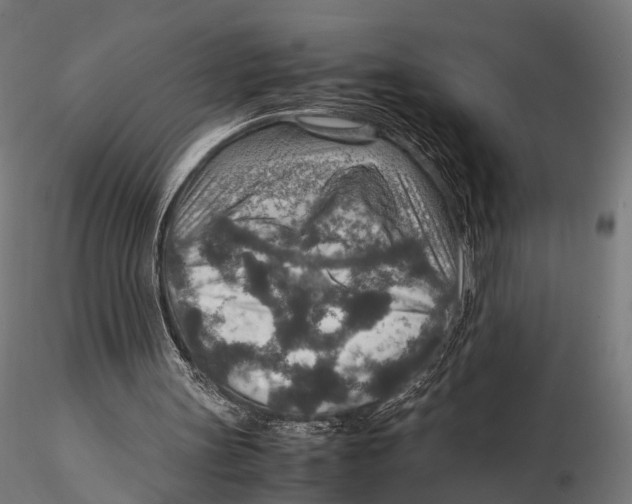 X0000115580147200912081034