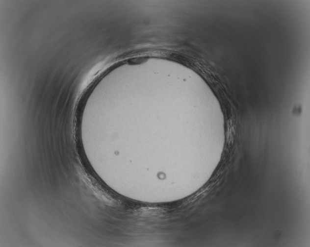 X0000115580150200912081034