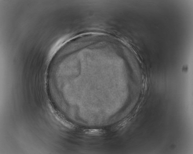 X0000115580151200912081034