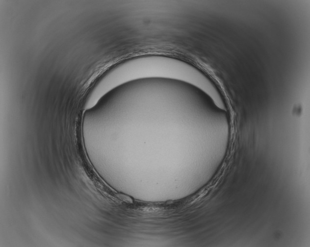 X0000115580154200912081034