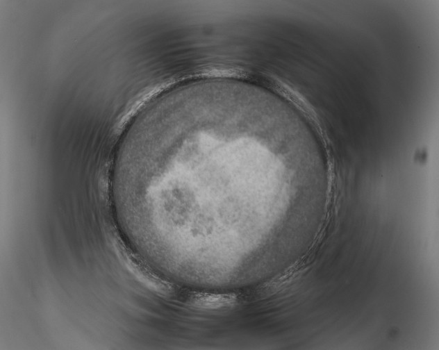 X0000115580155200912081034