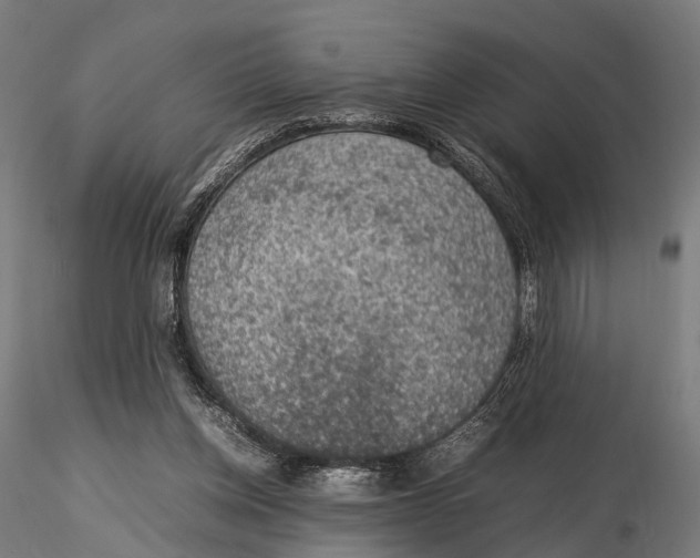 X0000115580158200912081034